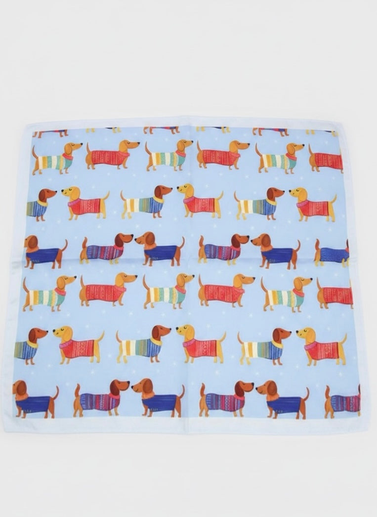 Pañuelo Perry Celeste 70x70 cms.