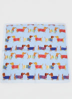 Pañuelo Perry Celeste 70x70 cms.